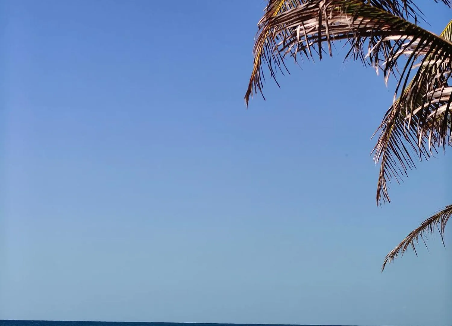 Azucar Hotel Tulum