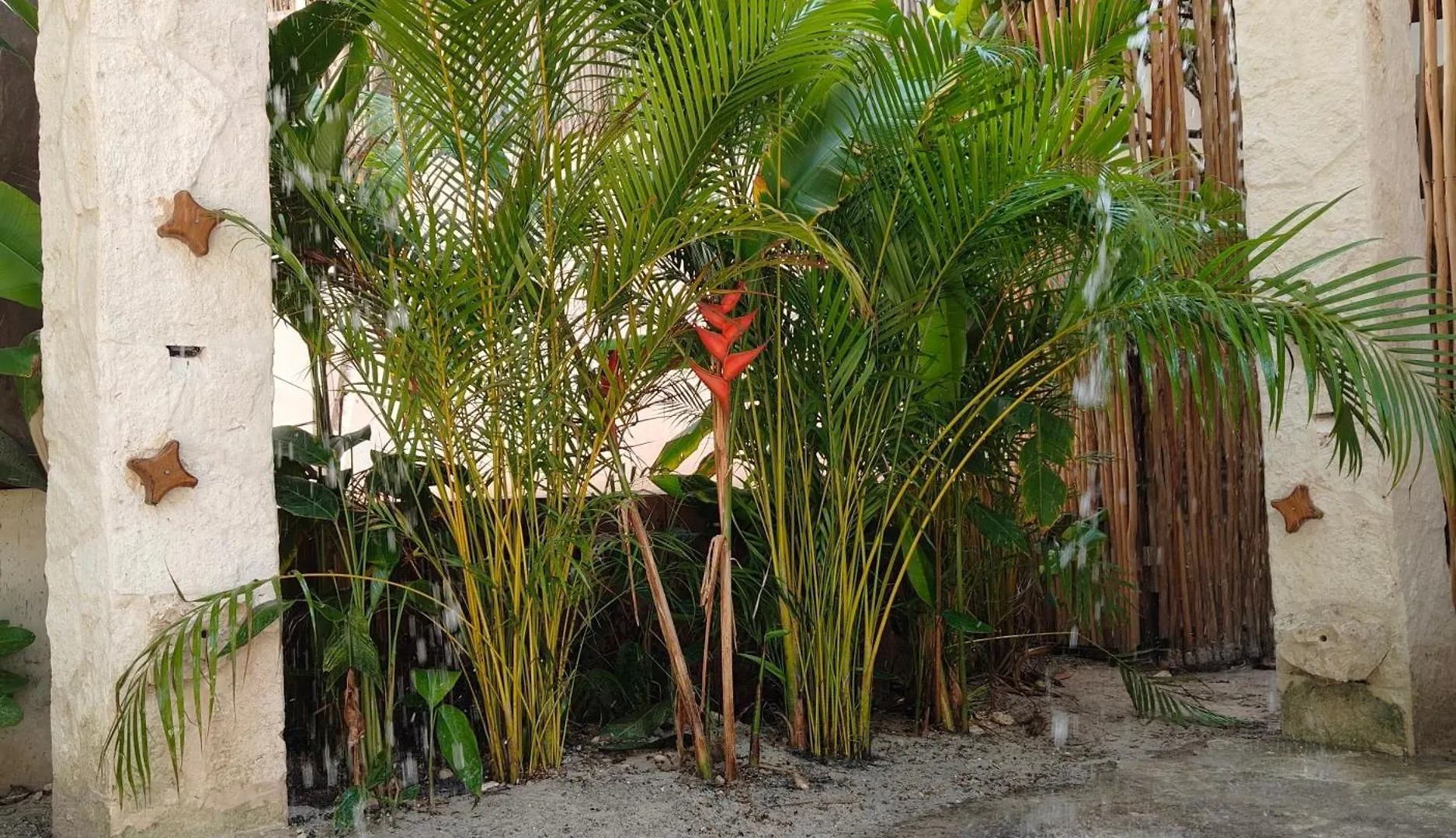 Azucar Hotel Tulum 3*,  Meksyk